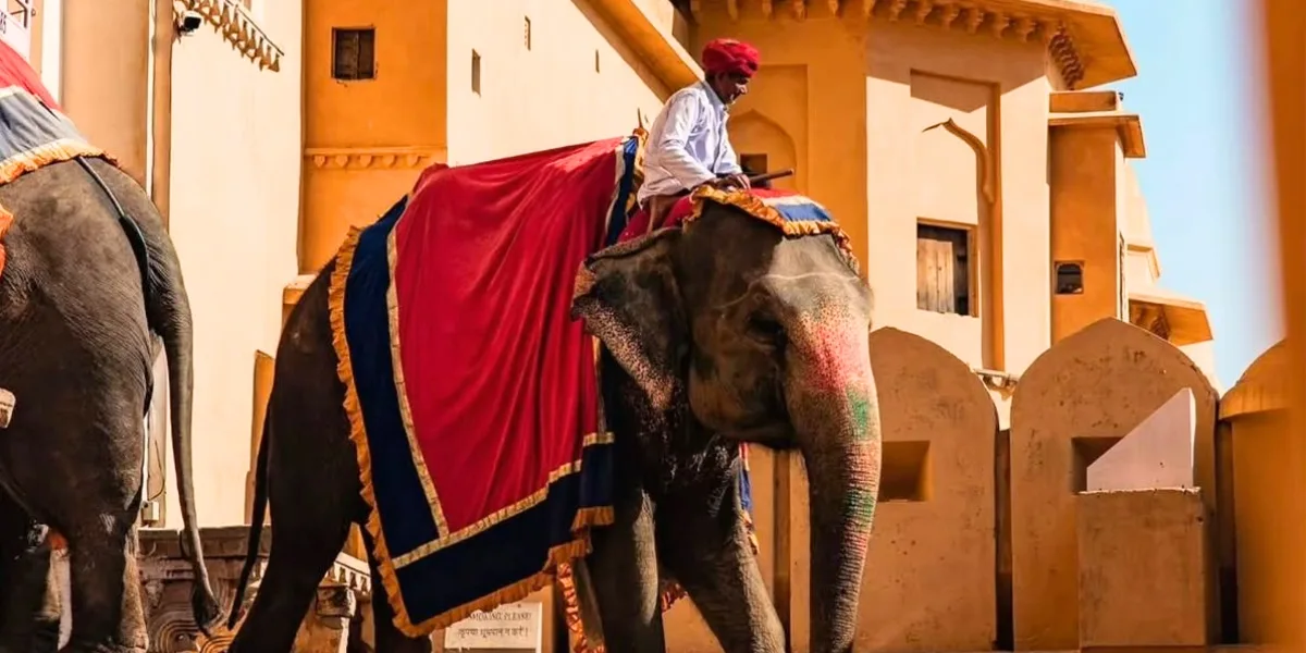 Amber Fort Jaipur Amber Fort Jaipur hilltop panorama with elephants